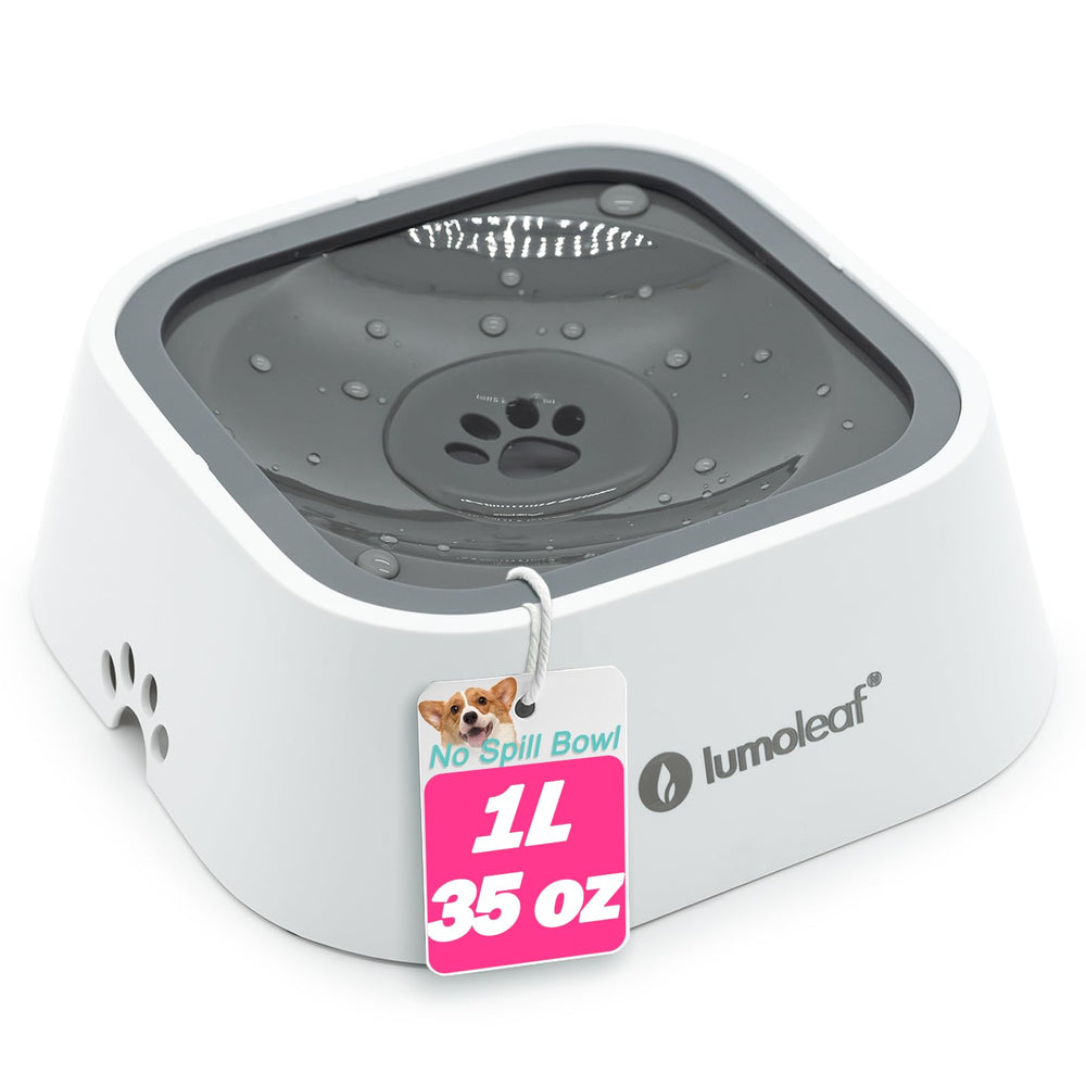 Bol d'eau LumoLeaf anti-débordement pour chien sur sol sec.