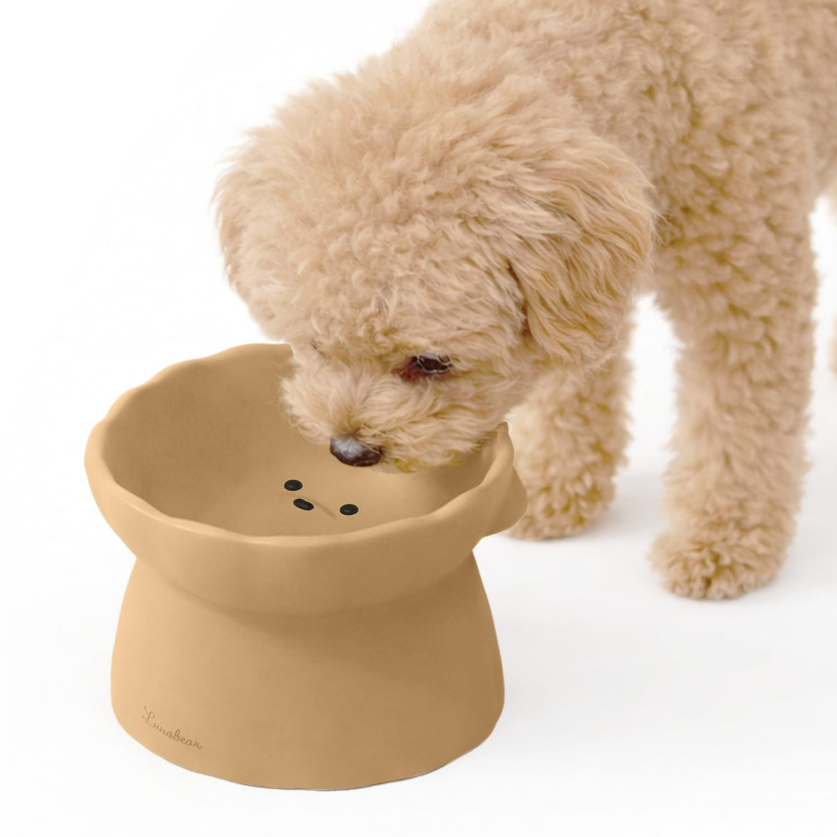 Bol Lunabear surleve avec anti-glisse, confort et stabilité pendant les repas.