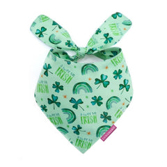 Bandana LunaMarie anniversaire pour chien, idéal en séance photo