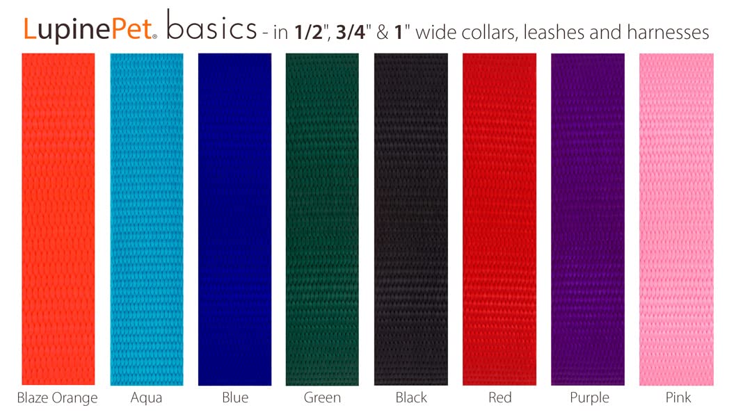 LupinePet Basics laisse bleue avec poignée rembourrée démontrant la durabilité du nylon