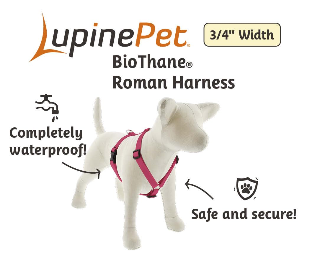 Harnais LupinePet BioThane bleu, matériau facile à nettoyer et robuste