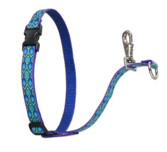 Harnais LupinePet Originals Rain Song 3-4 pouces, redirige avec douceur lors des promenades.