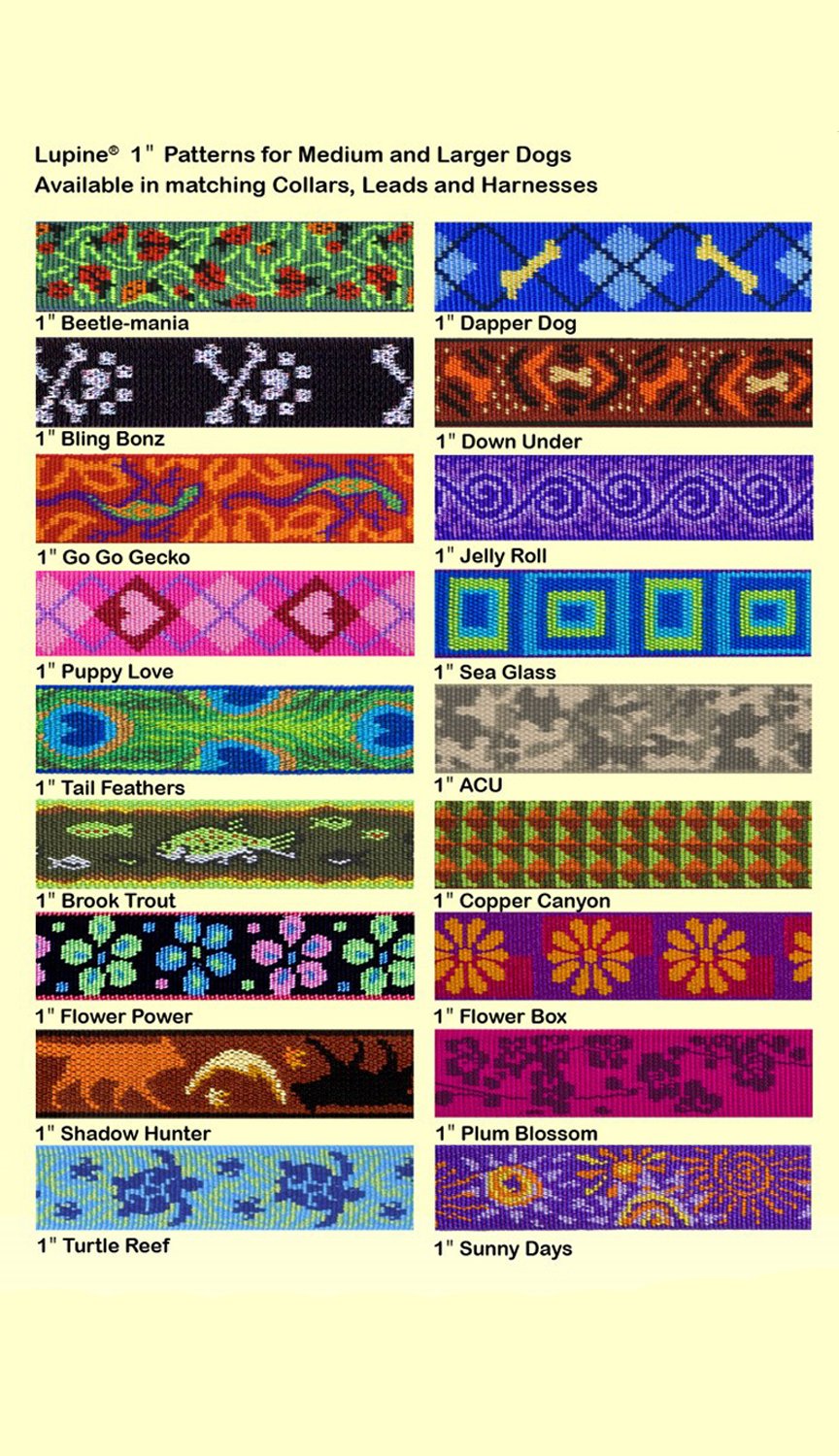Utilisation du harnais LupinePet Originals sans traction pour guider et récompenser pendant les promenades.
