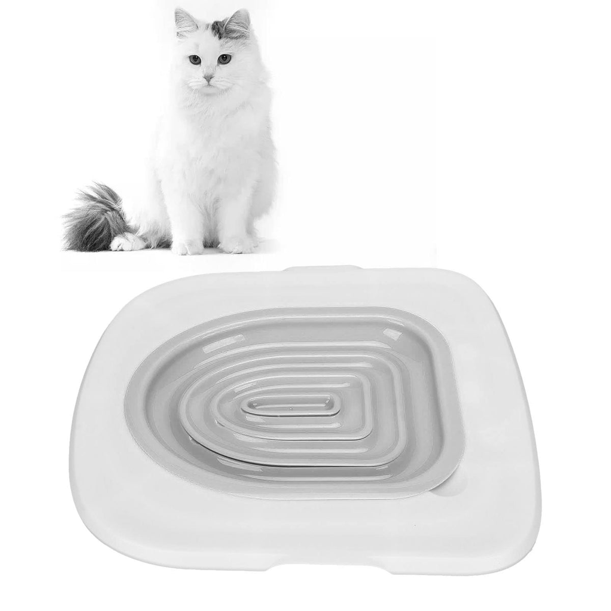 Luqeeg ensemble d'apprentissage chat – plateau bleu, apprentissage pratique