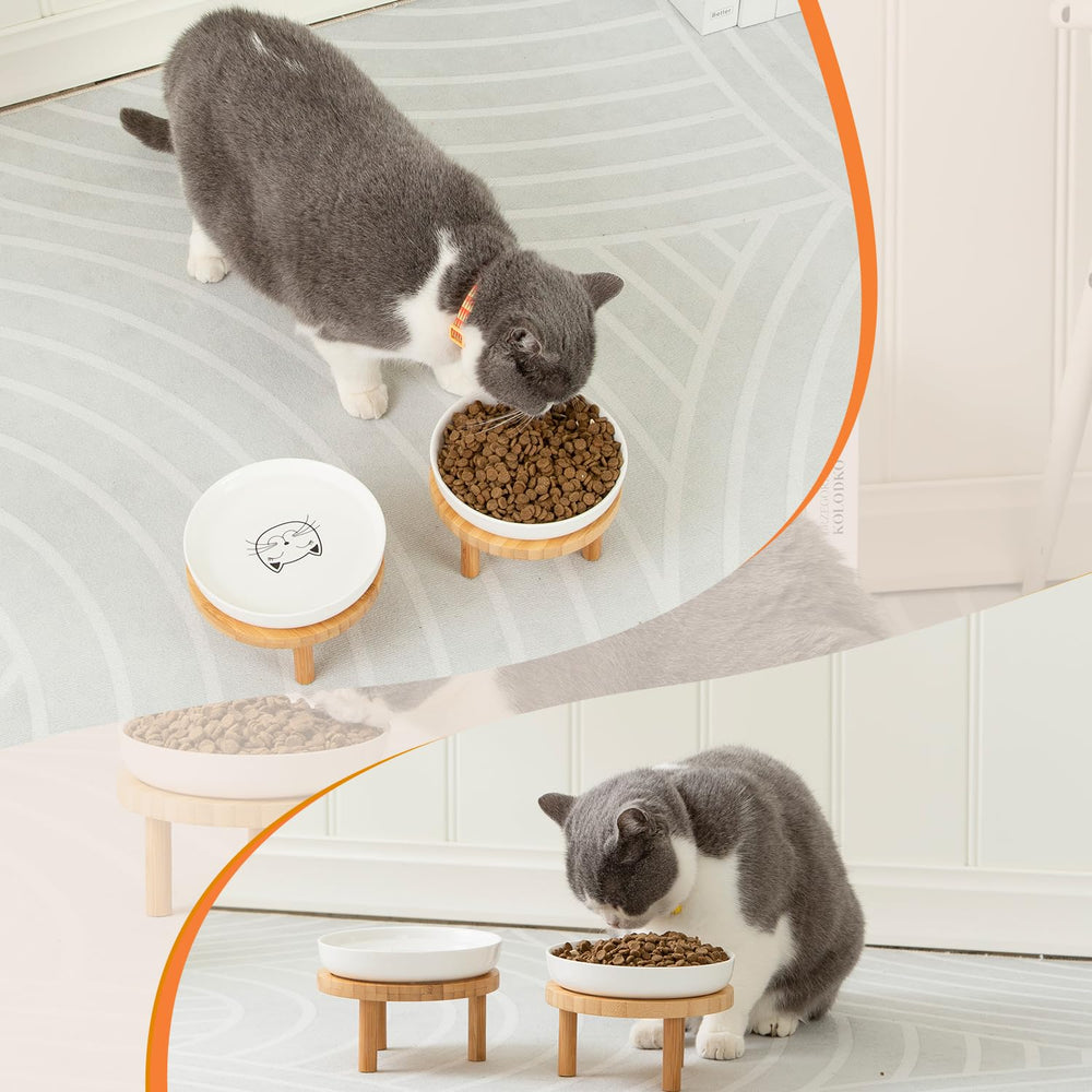 Bol chat Lusifaco bleu surélevé, rebord anti-débordement pratique.