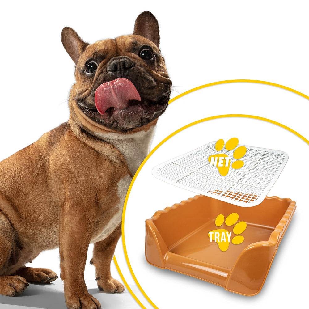 Dimensions idéales Lutema pour petits et moyens chiens 39-54 cm