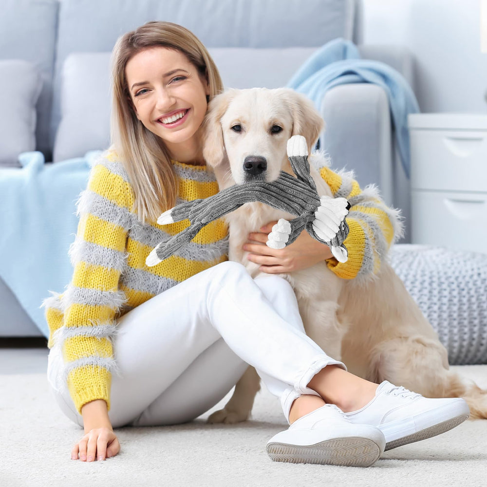 Jouet Luudoogs pour plus d’énergie et d’interactions ludiques à la maison.