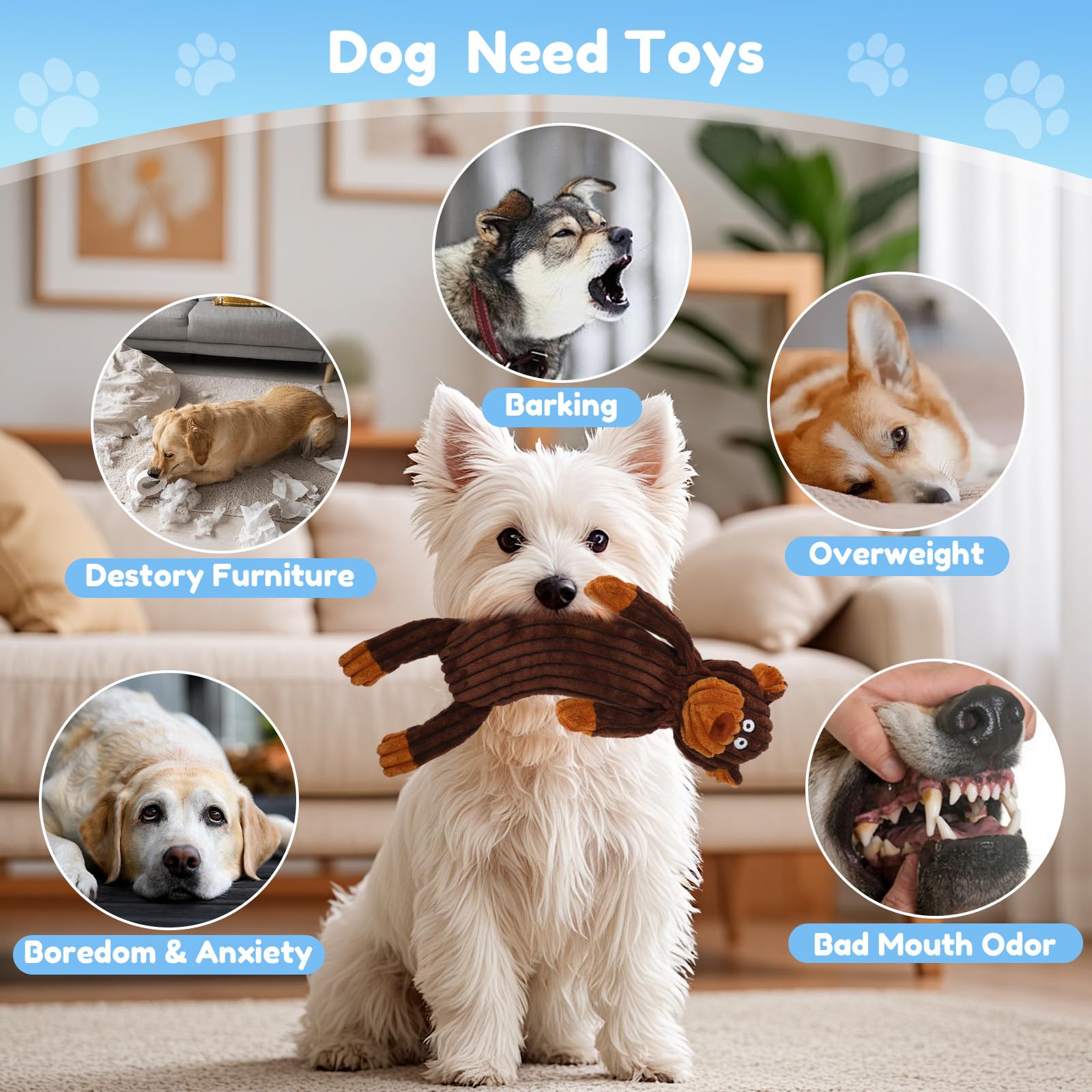 Jouet Luudoogs idéal cadeau pour chien, fêtes et anniversaires.