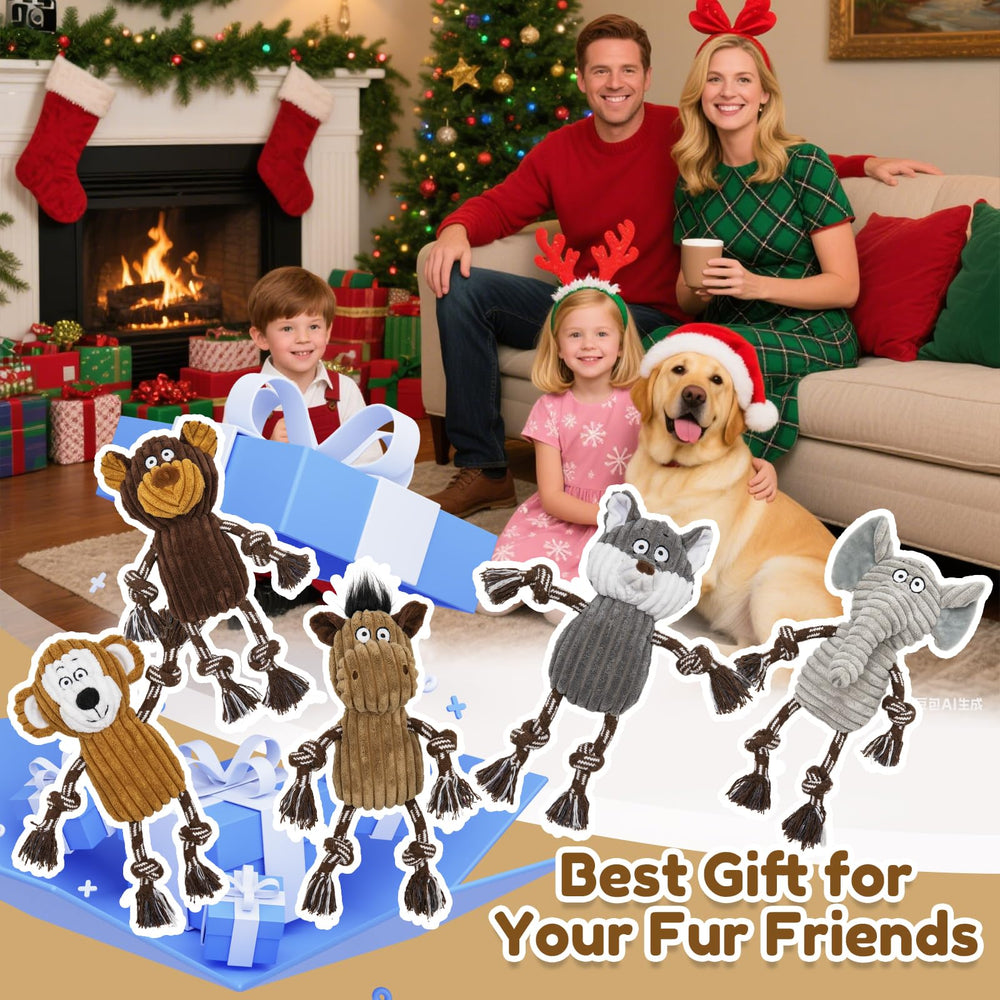 Jouet Luudoogs pack varié – ensemble de cinq jouets pour tous les chiens