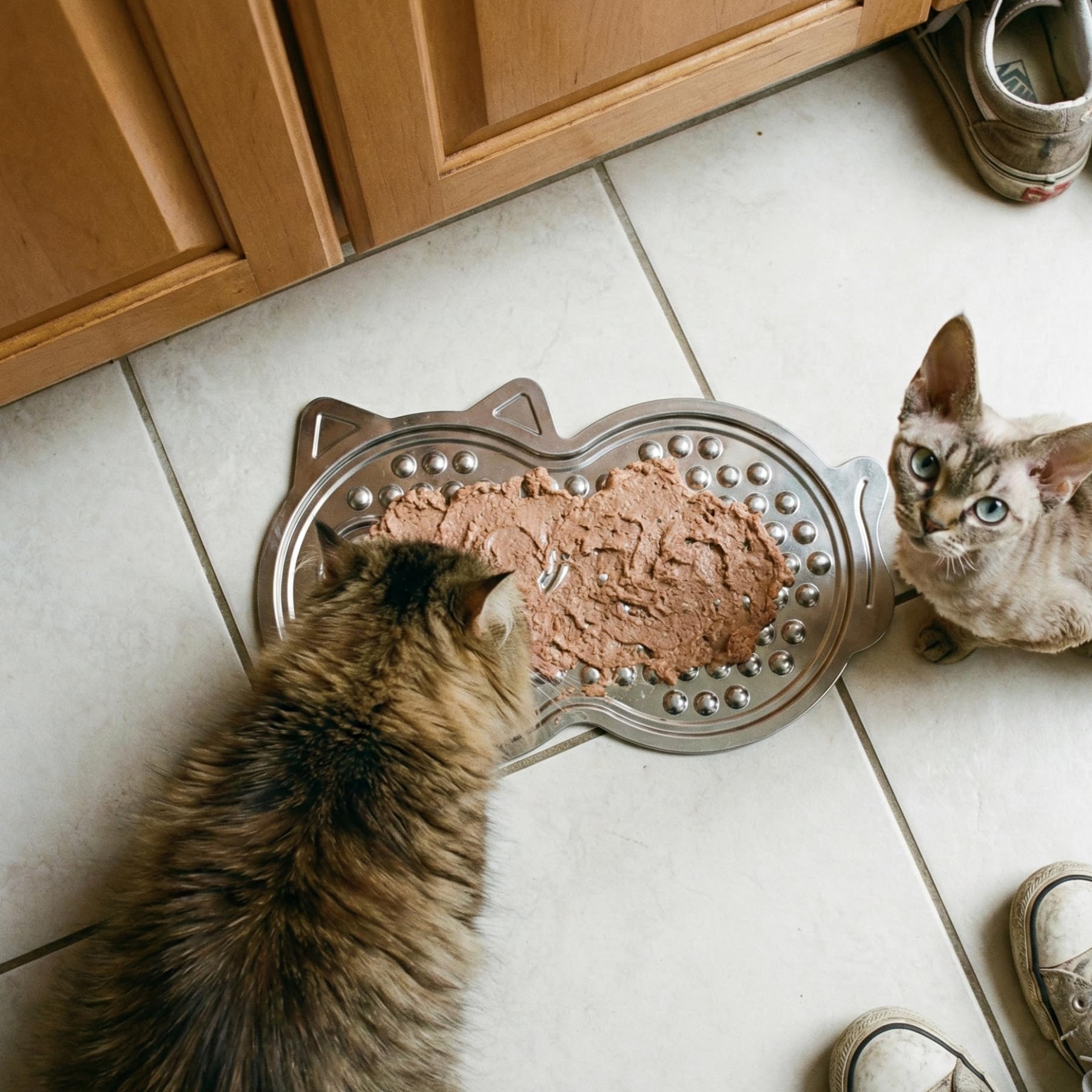 Luugoo carte recettes incluse, idées gourmandes pour chiens et chats.