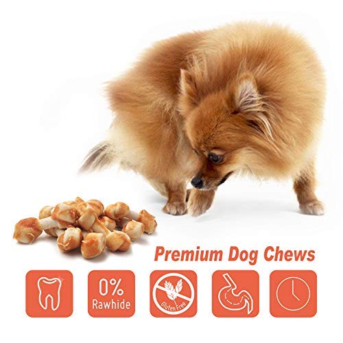 LuvChew Os mini-chien-dans-main : facile à prendre et partager avec votre chien.