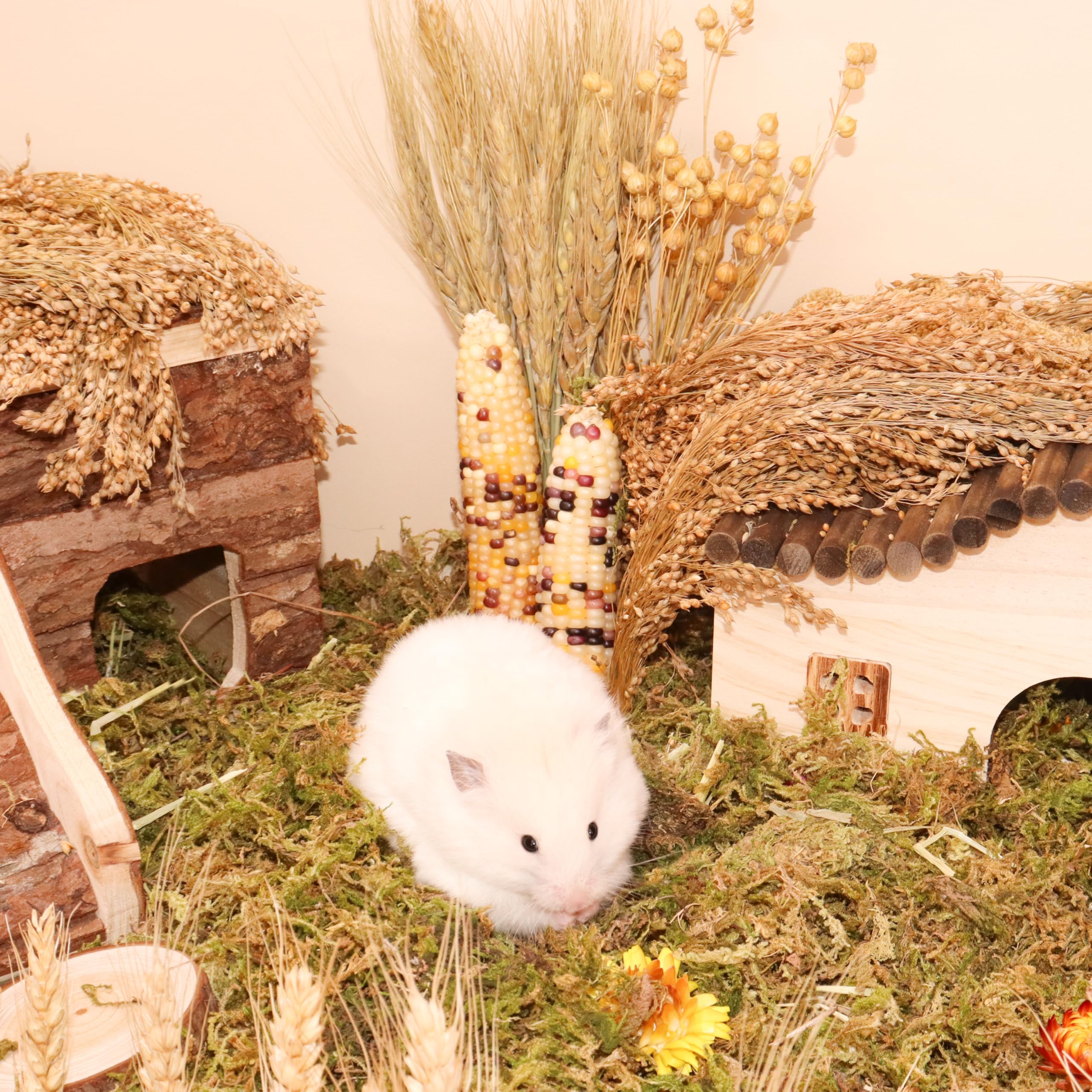 Emballage LUVCOSY Hamster Spray avec notice et facilité d’usage