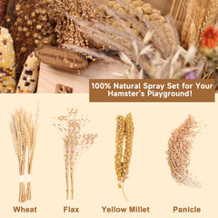 Décoration naturelle de l’habitat avec LUVCOSY Hamster Spray