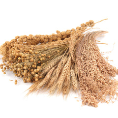LUVCOSY Hamster Spray Ensemble avec textures variées pour rongeurs actifs