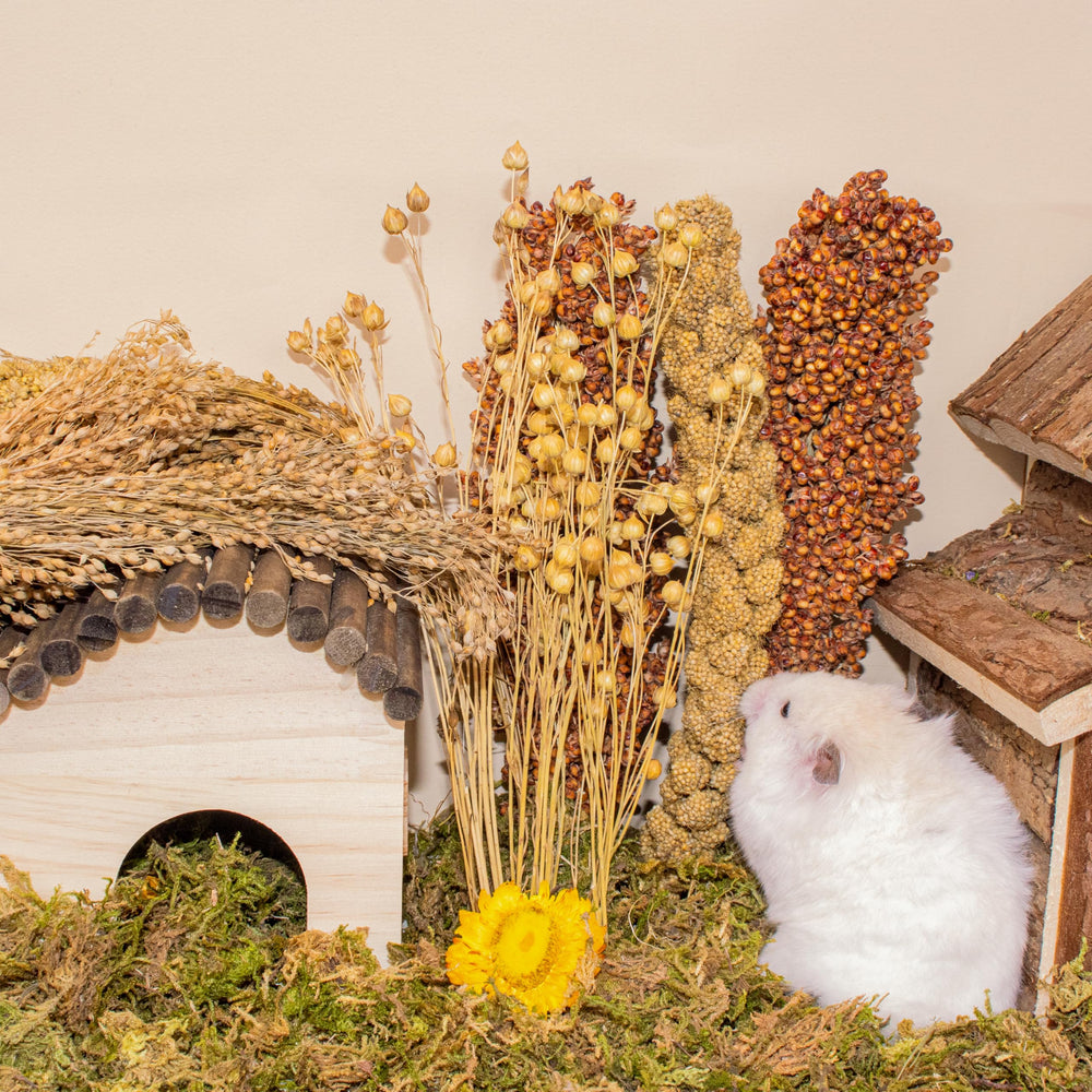Sécurité et naturalité du LUVCOSY Hamster Spray sans additifs