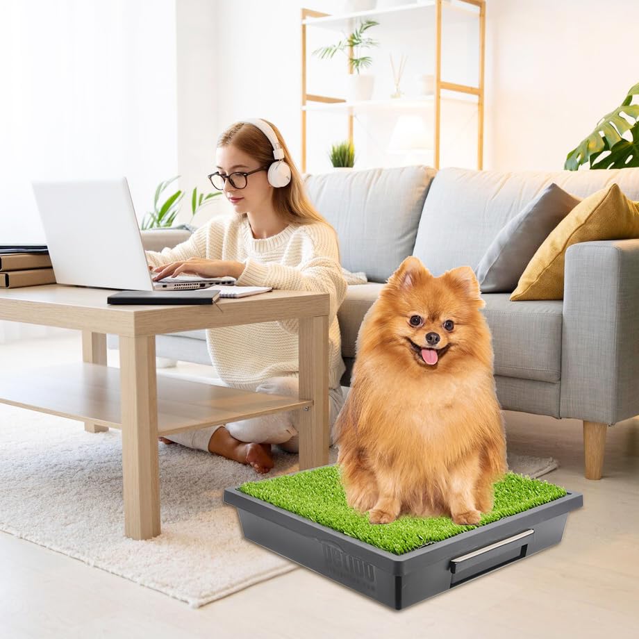 LUVCOSY poudre et plateaux prêts à l'emploi, nettoyage simplifié