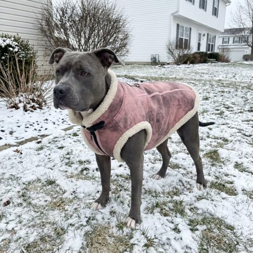 LUVMOJO Doublure sherpa pour chien rose XXXL, chaleur douce lors des sorties.