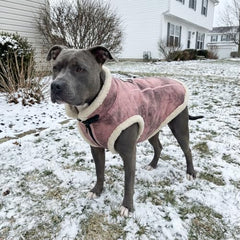 LUVMOJO Doublure sherpa pour chien rose XXXL, chaleur douce lors des sorties.