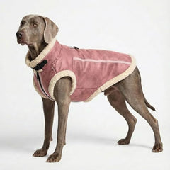 LUVMOJO Fermeture avant pratique pour chien, facile à enfiler et à retirer.