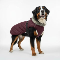 LUVMOJO manteau hiver avec capuche et sangle télescopique: ajuste parfaitement la poitrine.