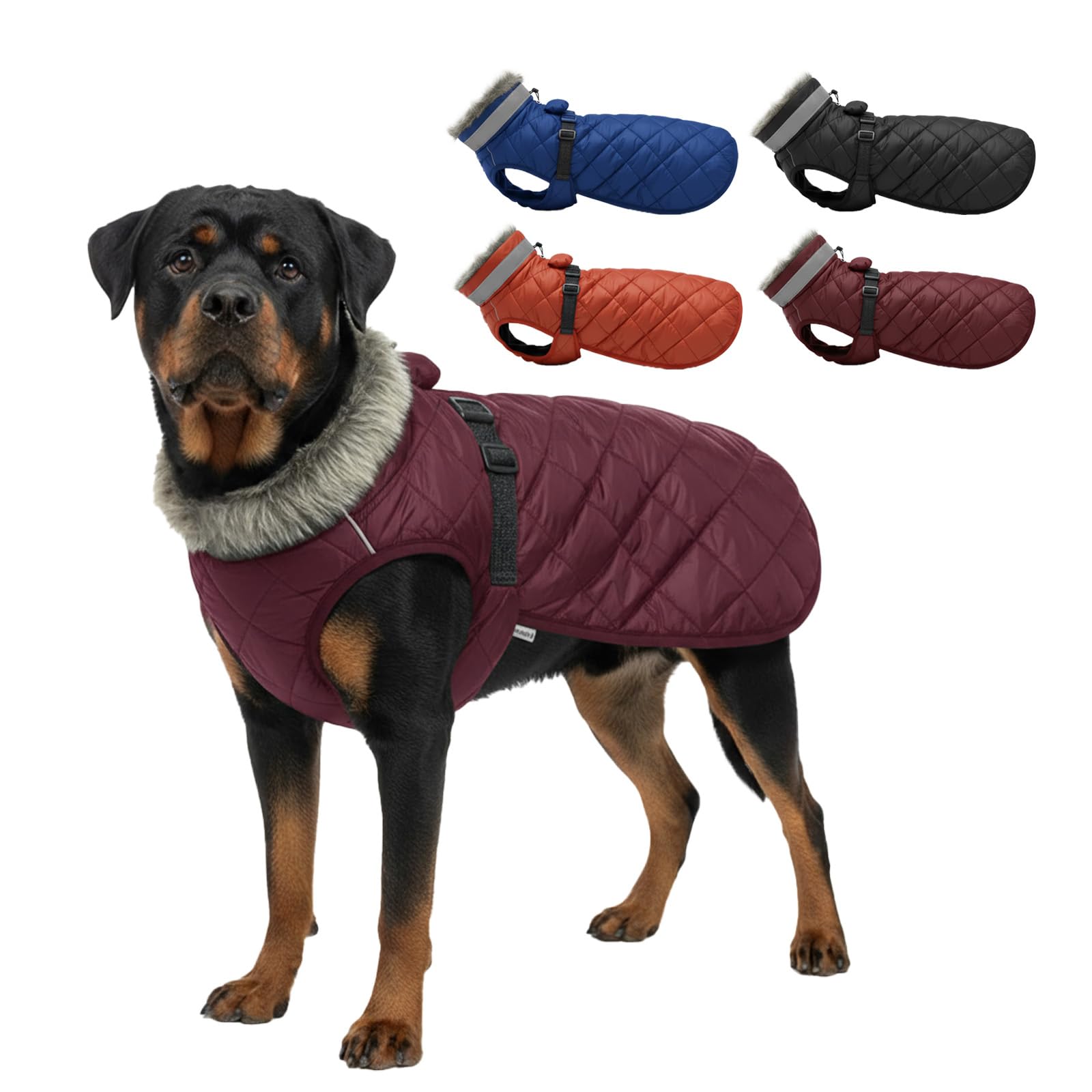 LUVMOJO manteau hiver chien géant extérieur: chaleur durable pour longues promenades.