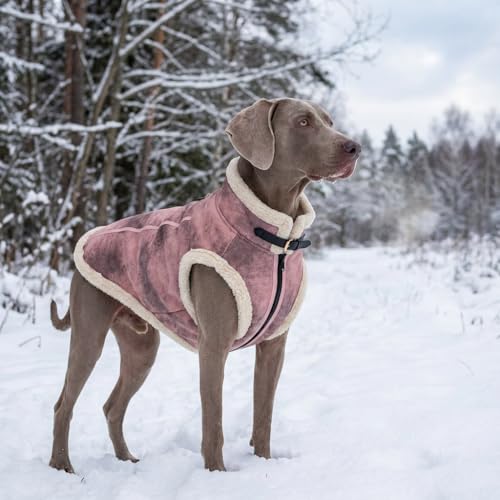 LUVMOJO Manteau hiver faux cuir pour chien rose XXXL, protection légère contre le vent.