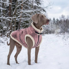 LUVMOJO Manteau hiver faux cuir pour chien rose XXXL, protection légère contre le vent.