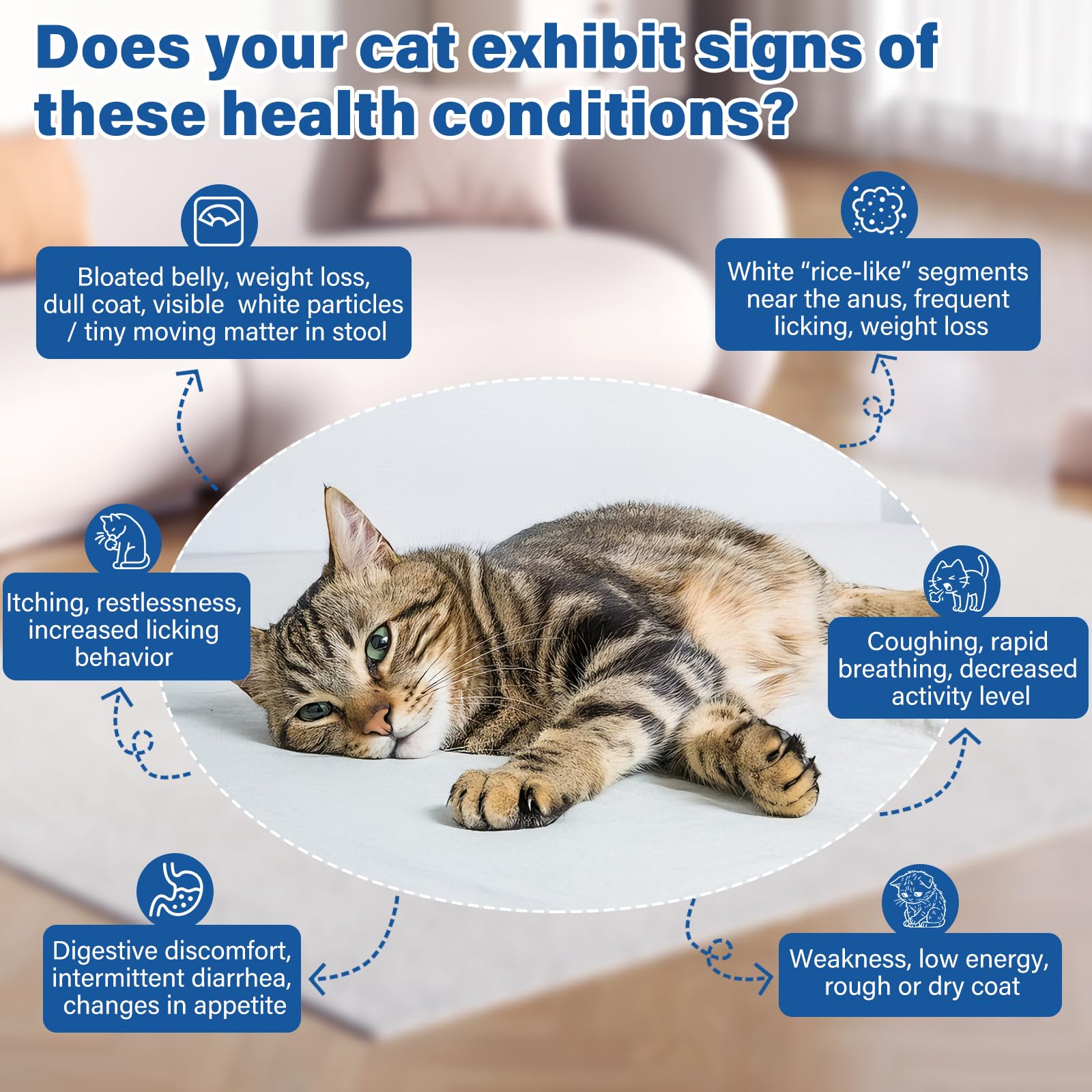 LuxeVib Vermifuge pour chats: administration orale directe ou mélangée à la nourriture.