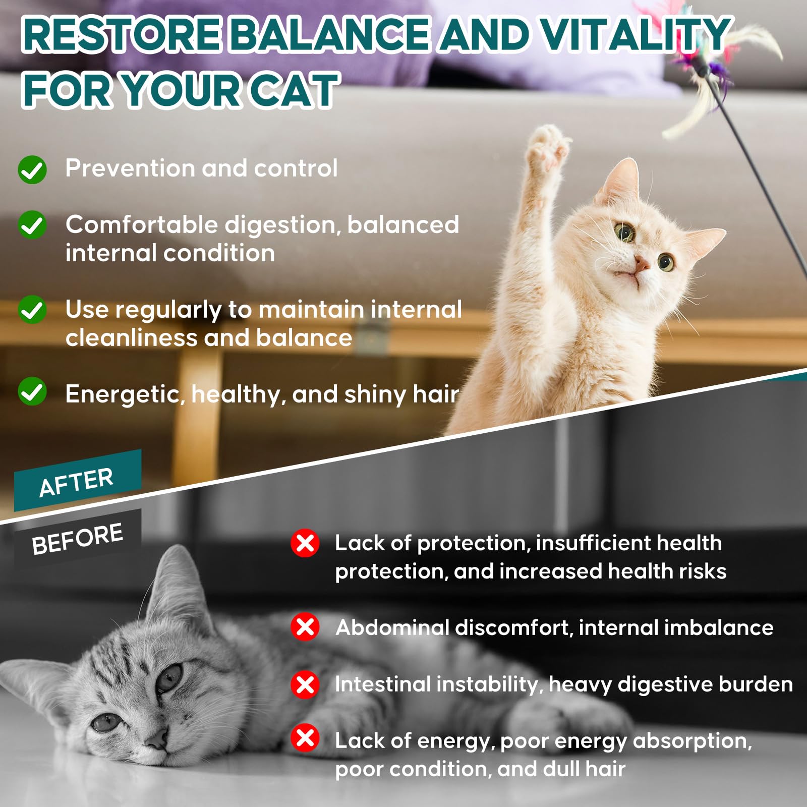 LuxeVib Vermifuge chat utilisation quotidienne: solution pratique pour le bien-être digestif