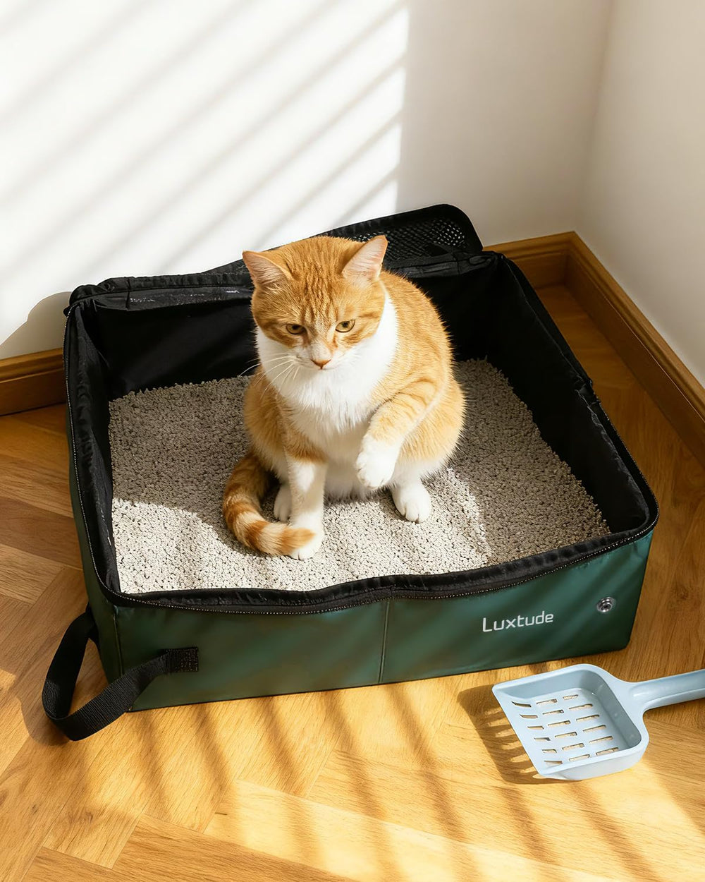 Luxtude boîte à litière portable chat contrôle des odeurs en déplacement