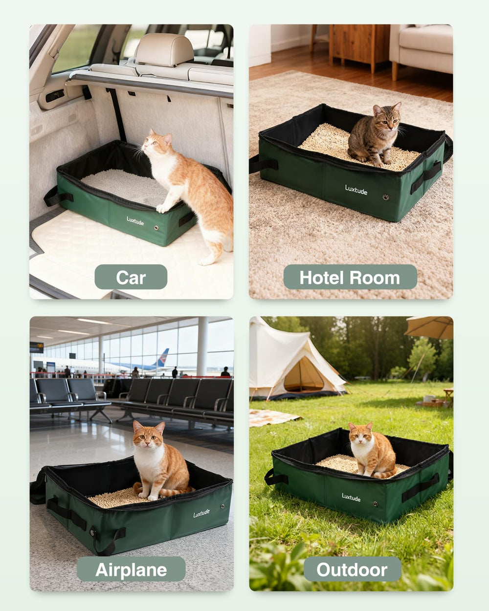 Luxtude boîte à litière portable chat voyage hôtel praticité
