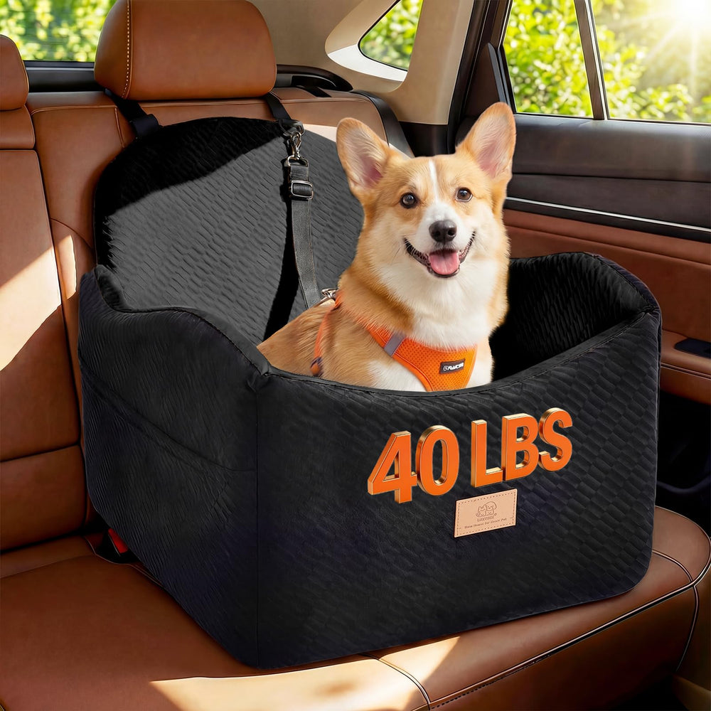 Système LUXYBEE siège-auto chien dans voiture avec couche imperméable, voyage sûr