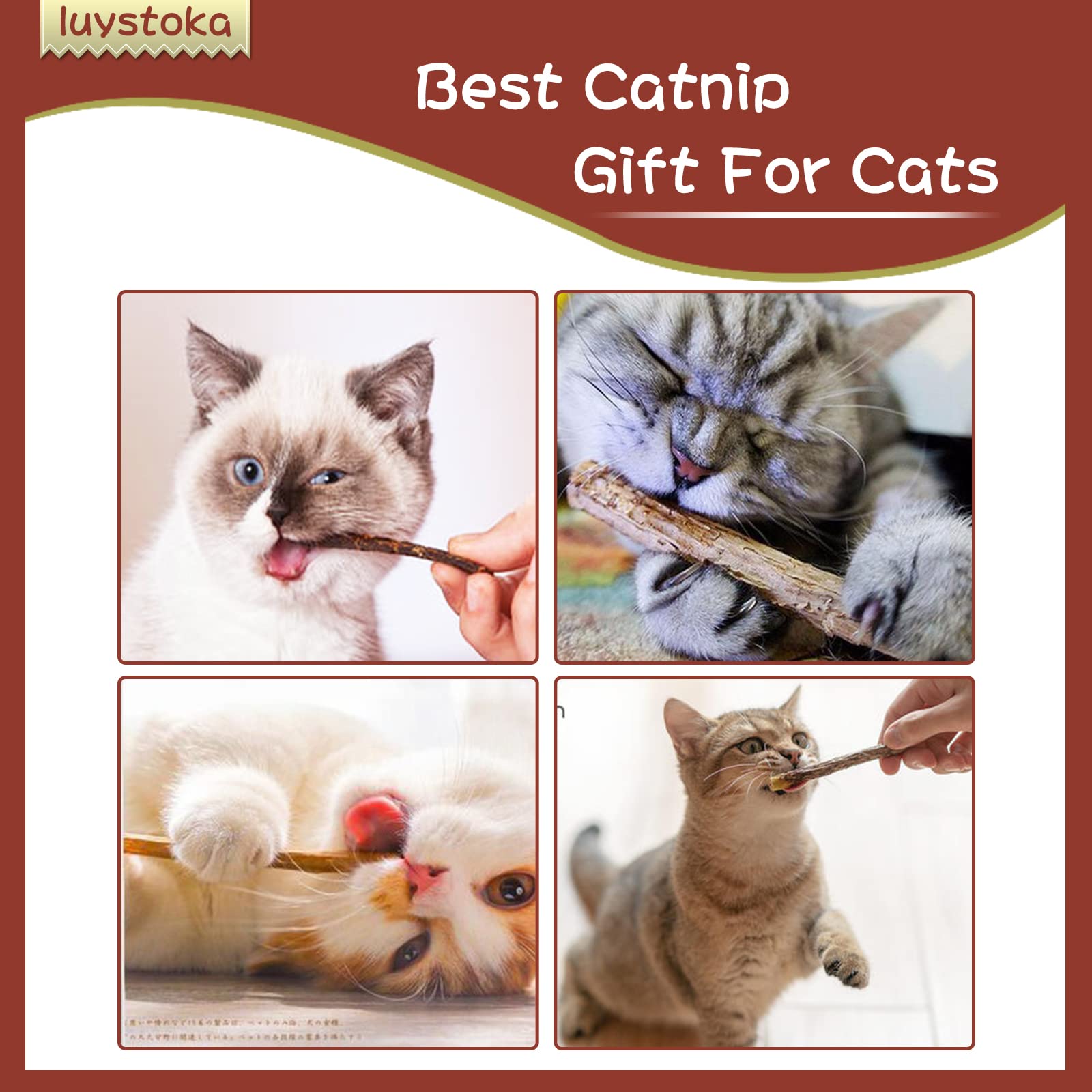 Luystoka Silvervine Sticks : chat détendu après utilisation.