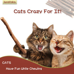 Luystoka Silvervine Sticks : chat jouant avec le bâton naturel.