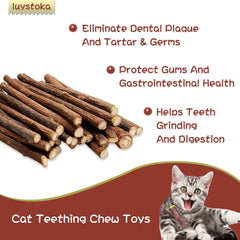 Luystoka Silvervine Sticks : chat mâchant le bâton naturel.