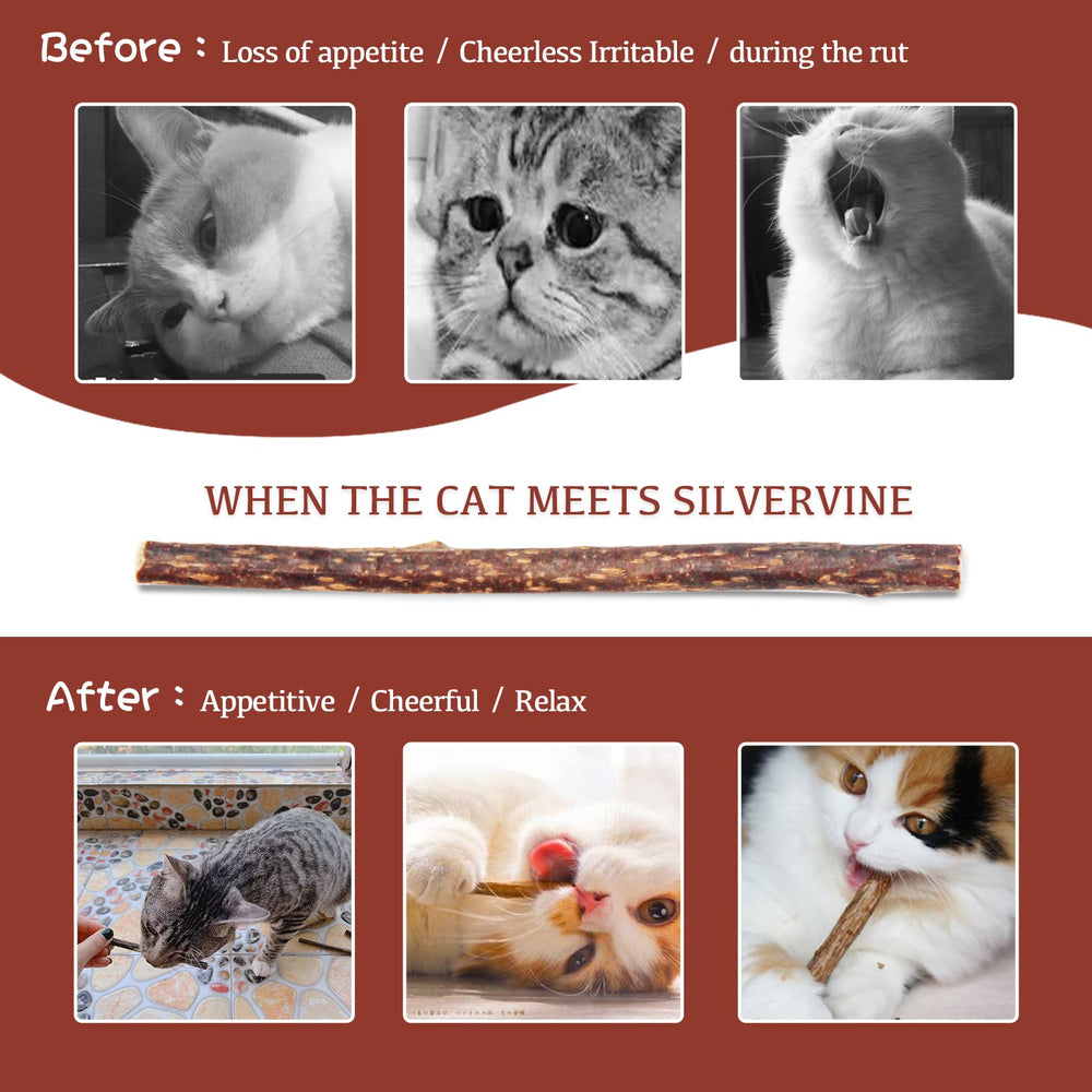 Luystoka Silvervine Sticks : accessoire de dentition apaisant pour chat.