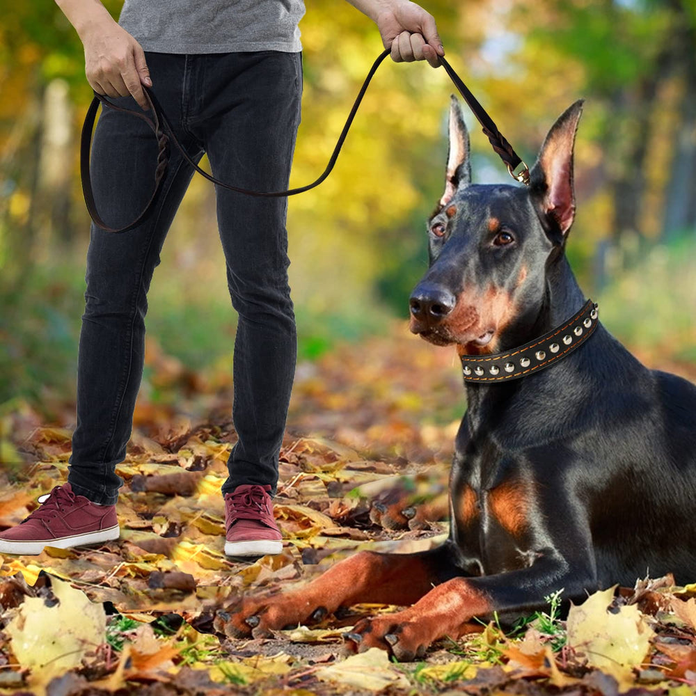 Utilisation en promenade et entraînement, adaptable à différentes races et tailles.