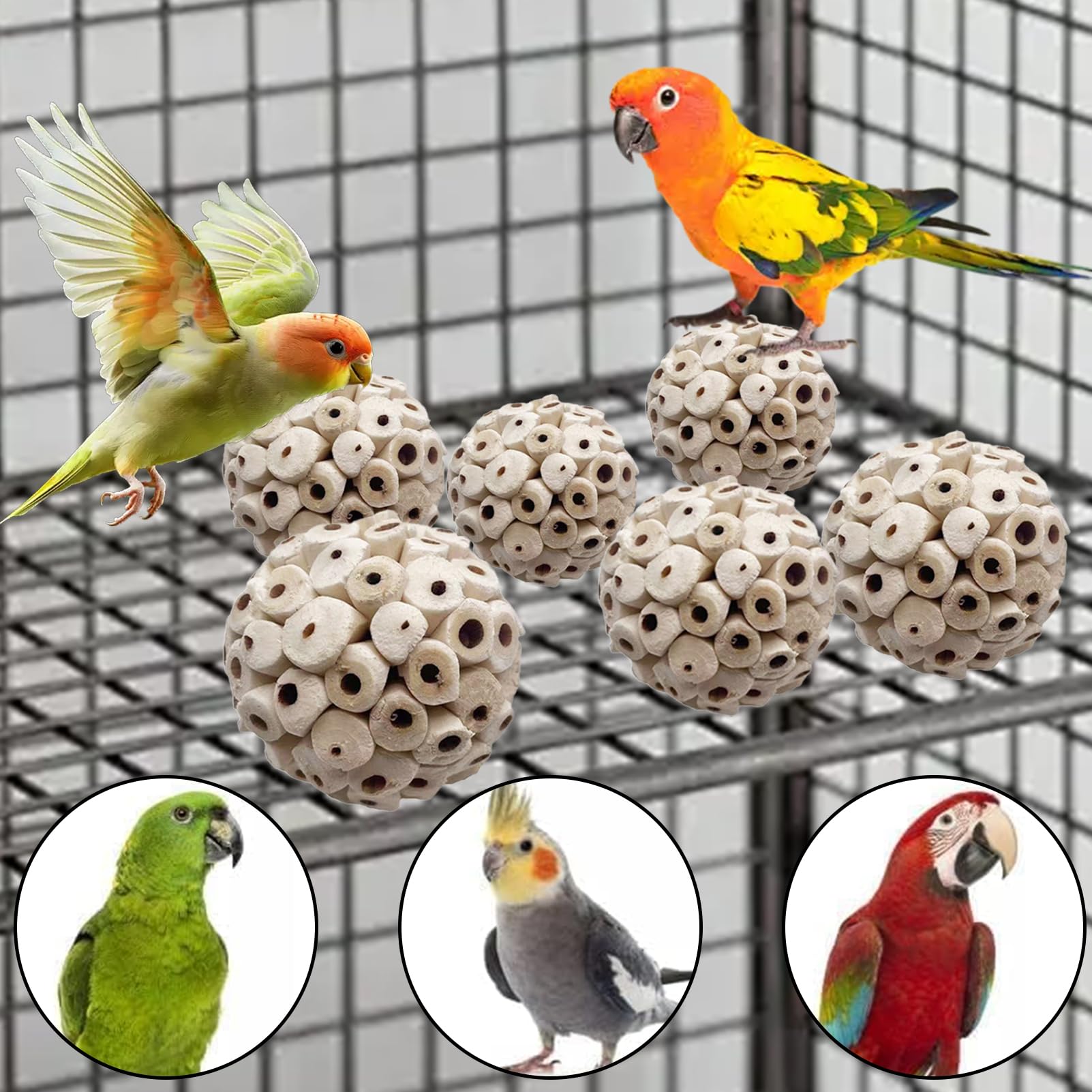LWINGFLYER Balles Sola pour petits animaux: utilisations variées et plaisir sûr.