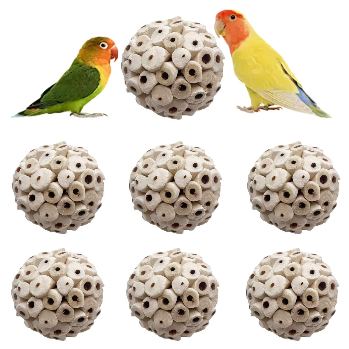 LWINGFLYER Balles Sola pour perroquet: jeu de mâchage naturel et stimulant.