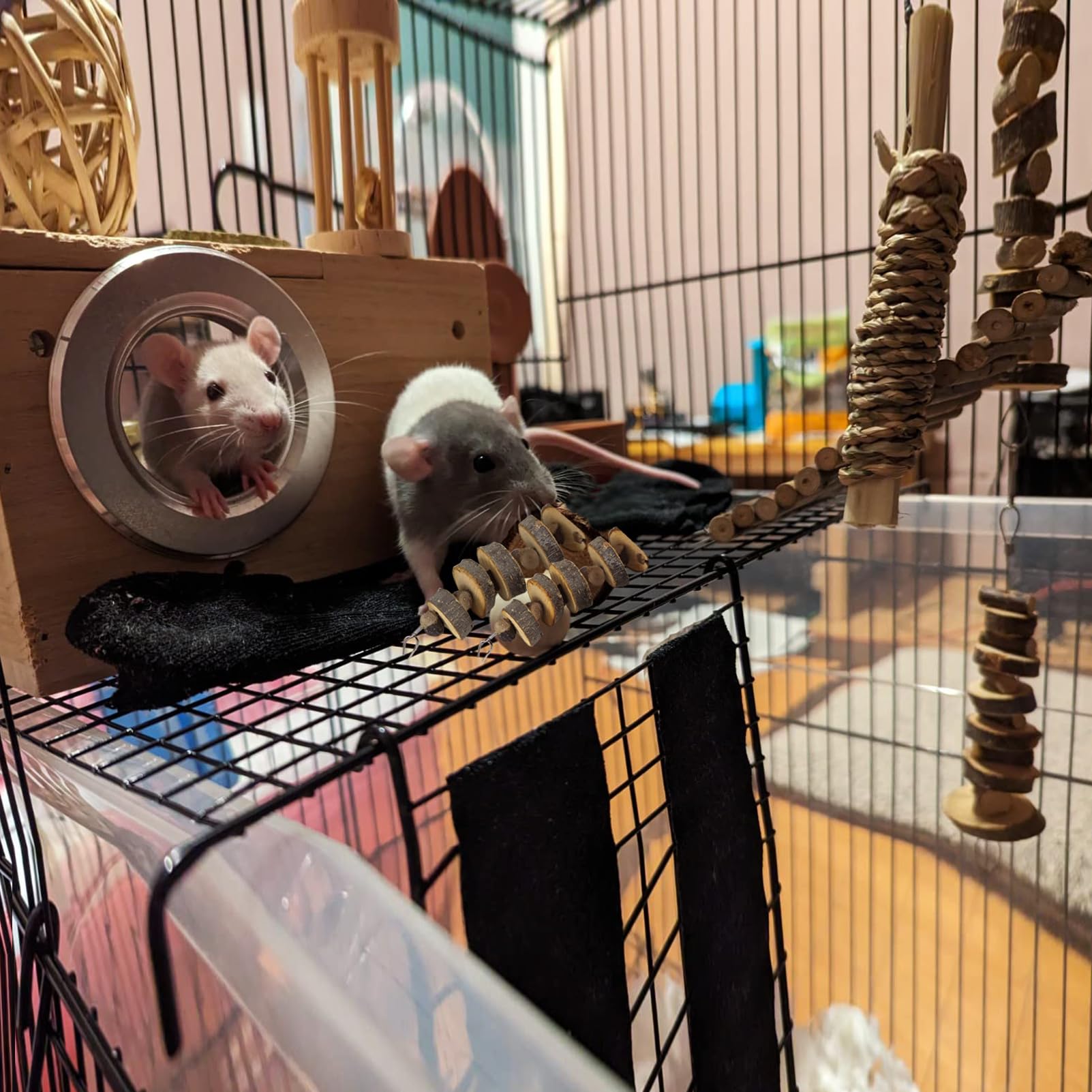 LWINGFLYER bois pomme naturel, emballage pratique 2 ou 4 pièces, solution adaptée pour cages.