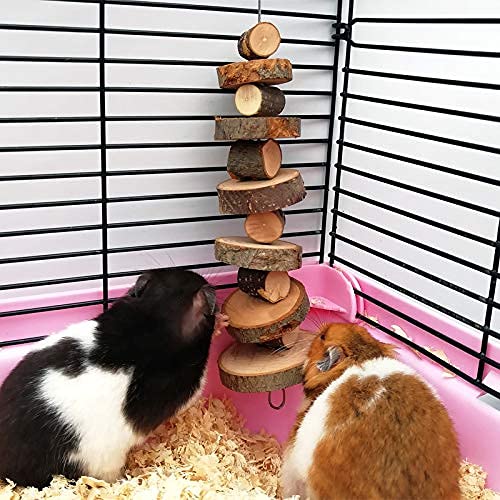 LWINGFLYER bois pomme naturel, conçu pour cobayes et chinchillas, stimule l’exploration et la curiosité.