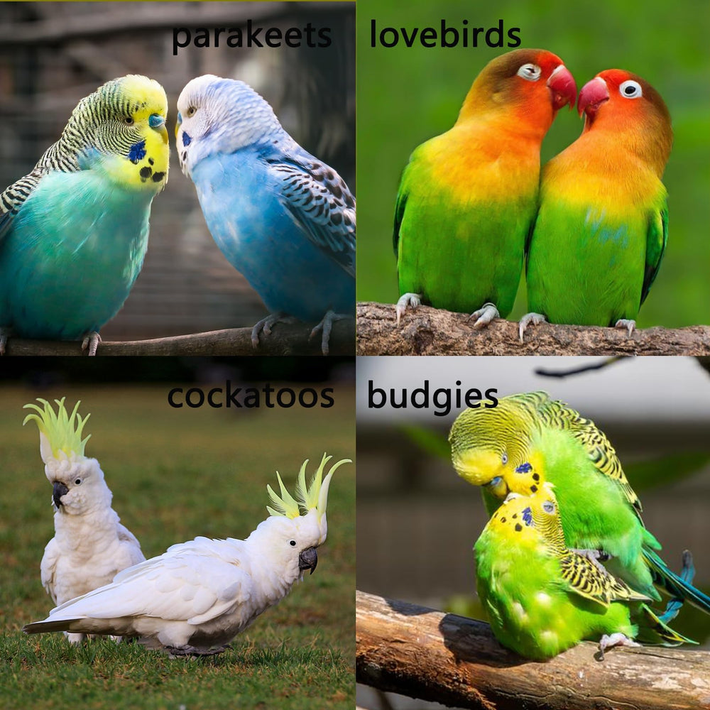 LWINGFLYER design compact s’intègre au habitat aviaire