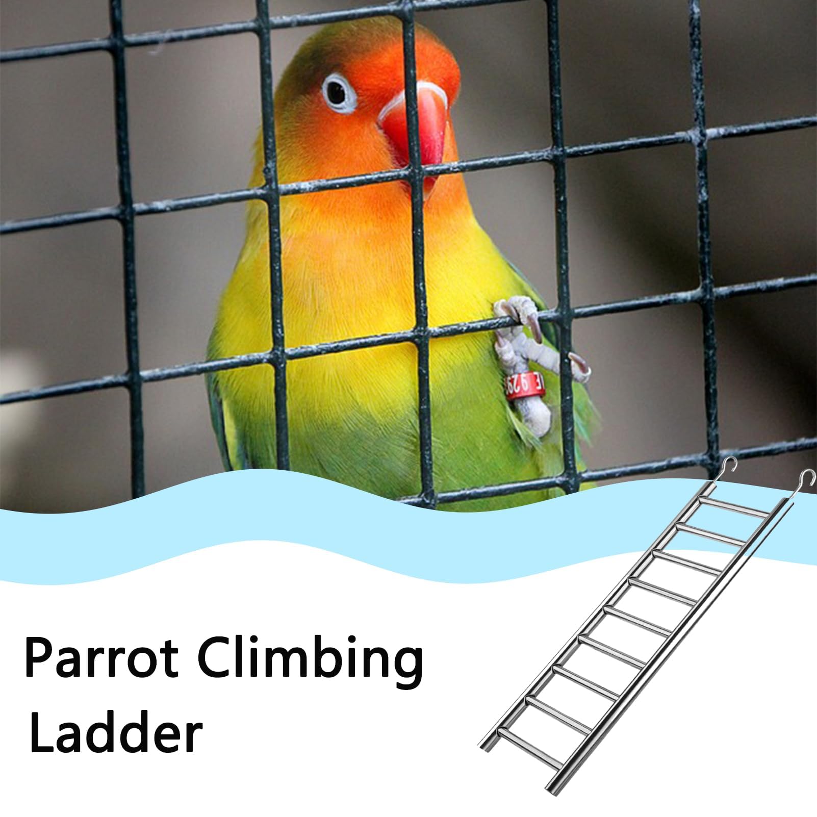 LWINGFLYER deux crochets pour cage suspension sans outils