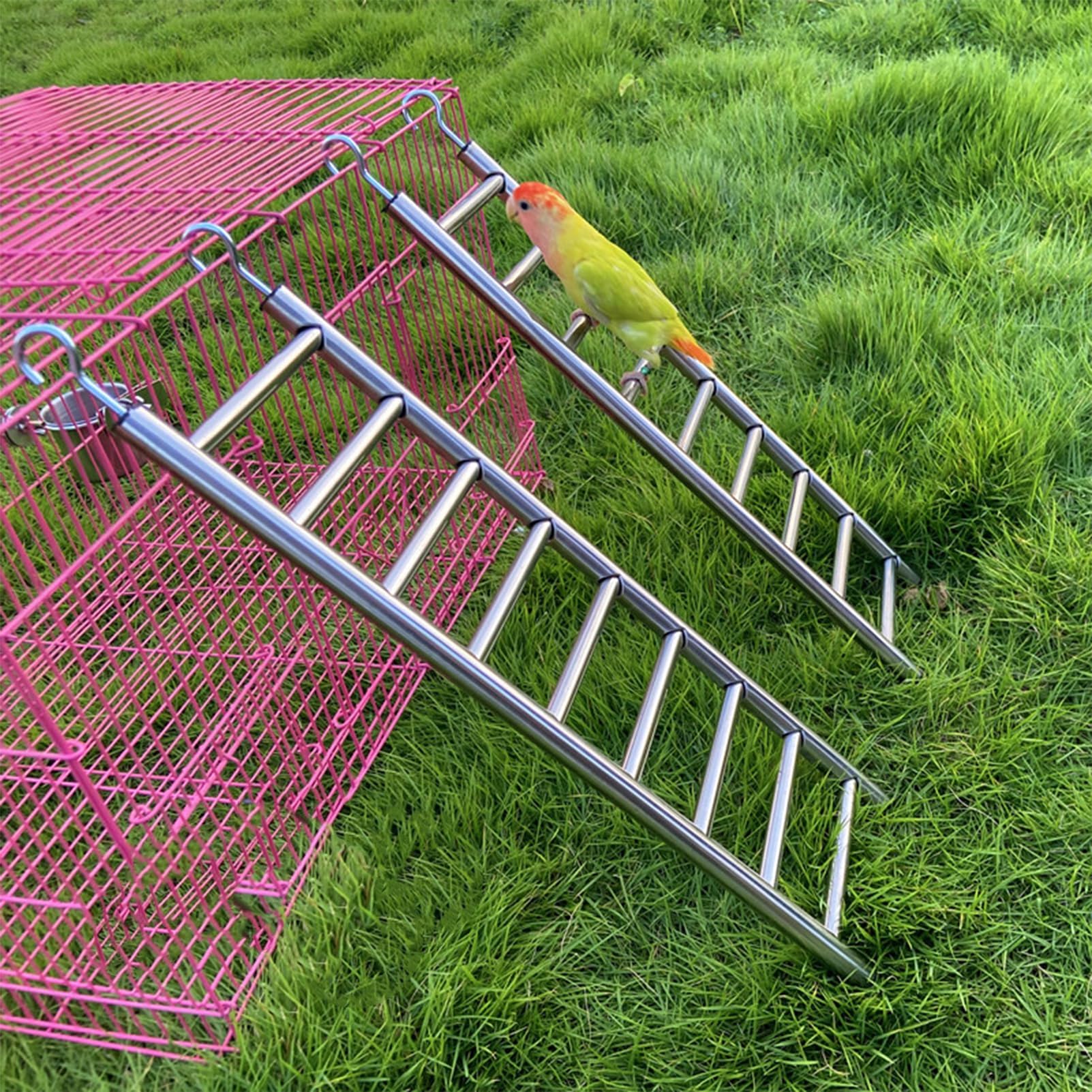 LWINGFLYER outil d’exercice pour petits et moyens oiseaux