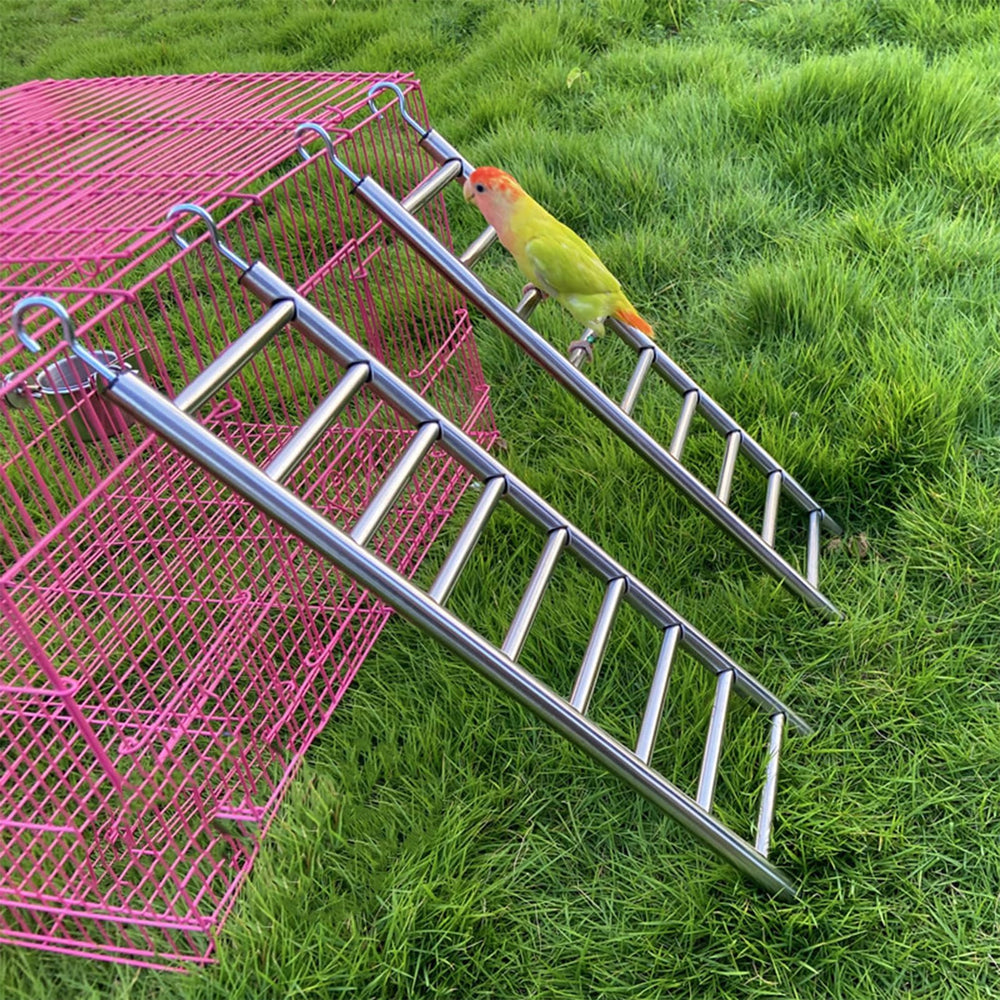 LWINGFLYER outil d’exercice pour petits et moyens oiseaux