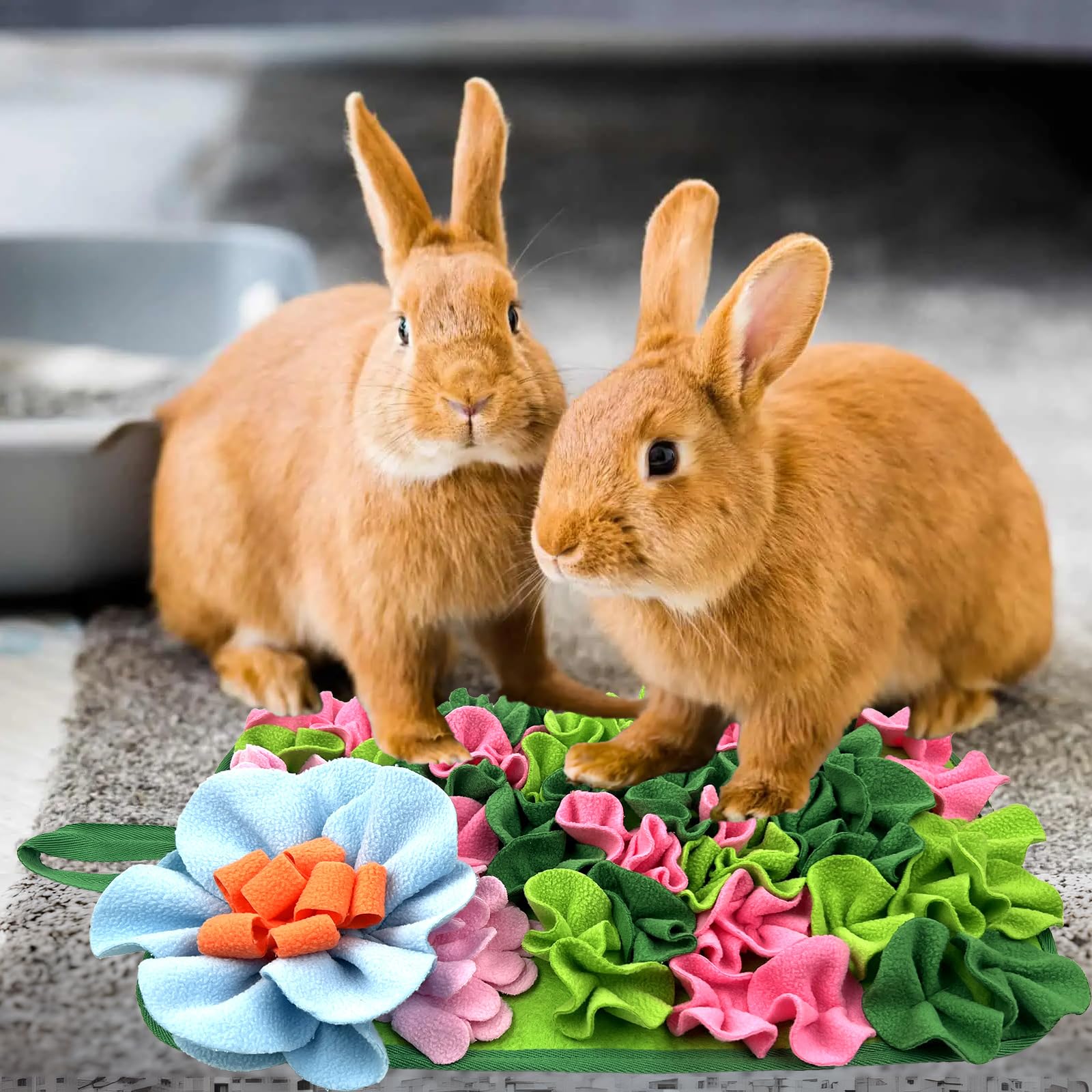 Convient à plusieurs animaux, lapins et hamsters avec LWINGFLYER.