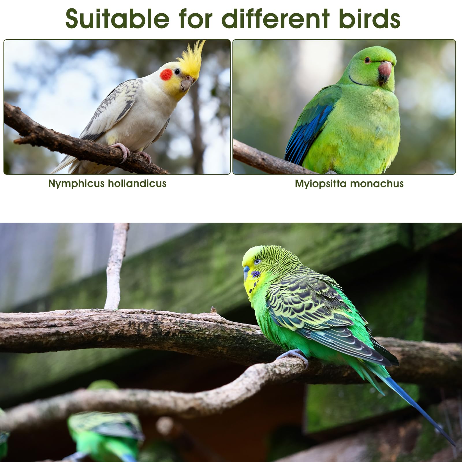 LXUEJIE couche d'oiseau – doublure imperméable et réduction des fuites.