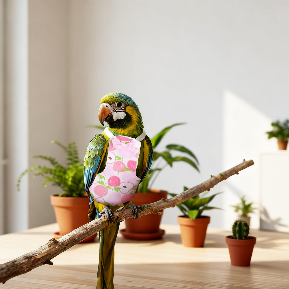 LXUEJIE compatible divers oiseaux, vol libre sans restriction.