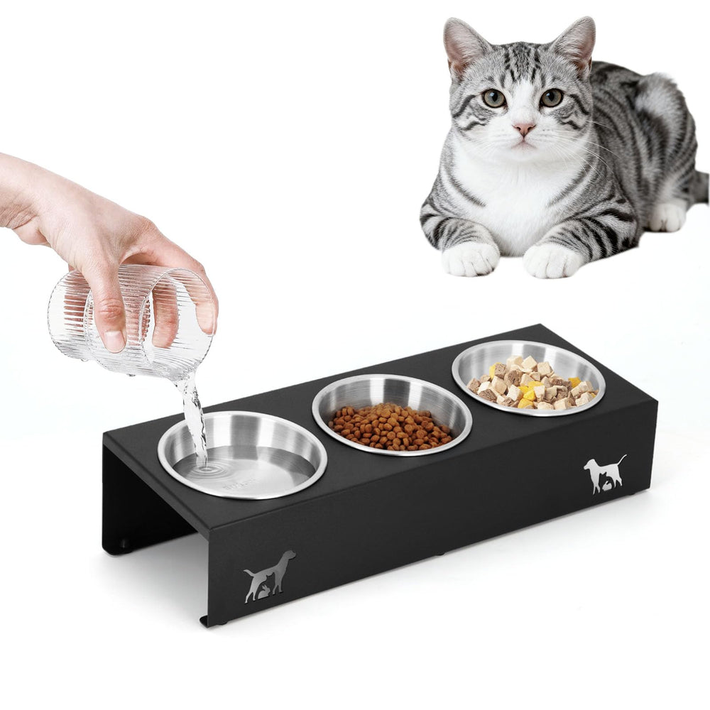 LYCC bol chat eleves 15° pour une posture naturelle durant le repas