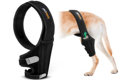 Lyderpet attelle genou chien: soutien et confort grâce au néoprène respirant.